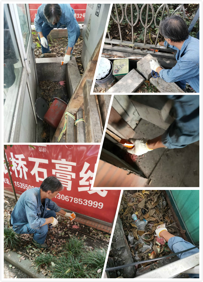 人生就是博市场开展冬季灭鼠