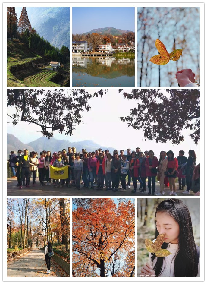 人生就是博电子生意市场组织“指南村赏秋”运动