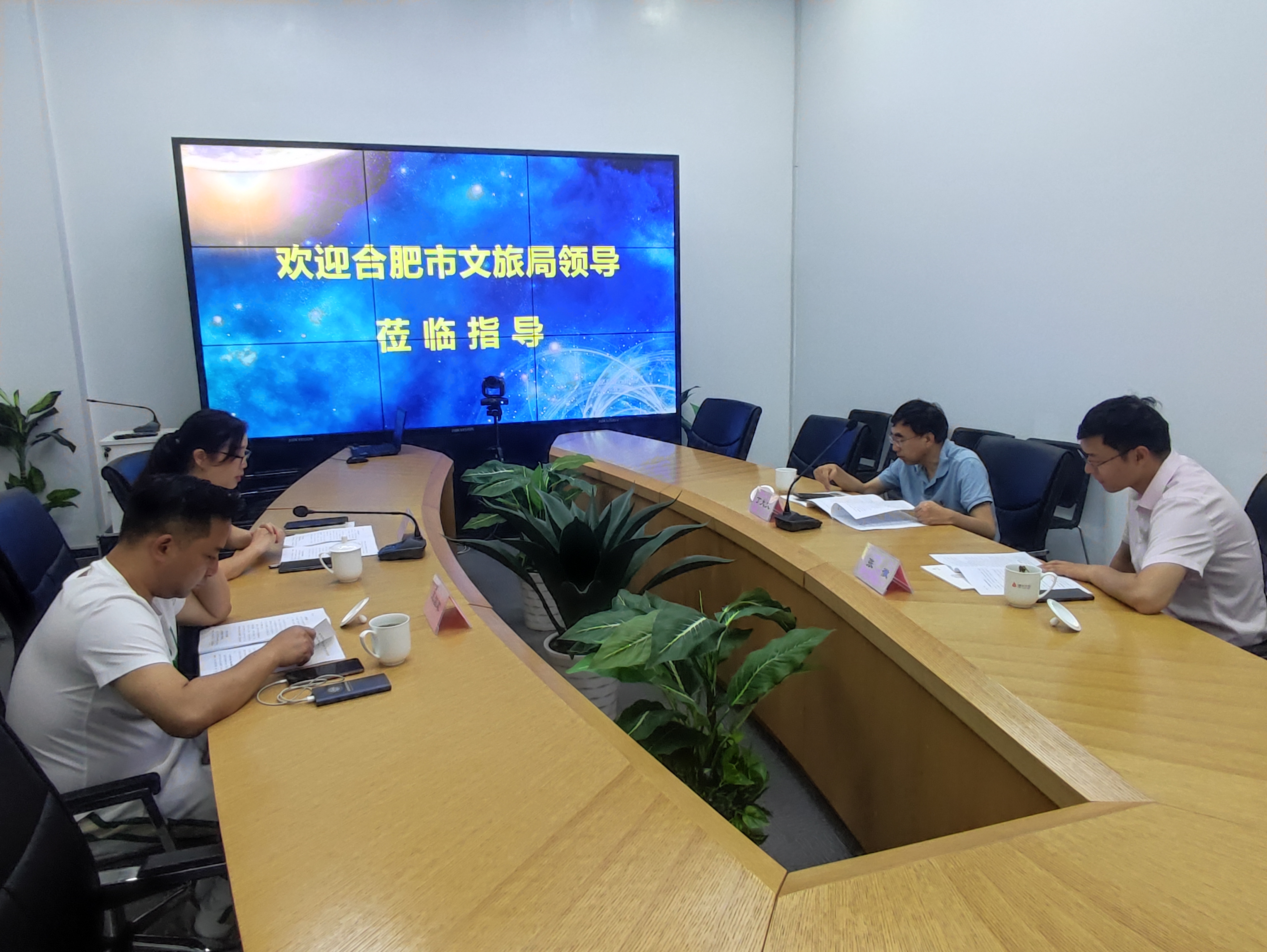 合肥市文化旅游局丁大文处长一行莅临人生就是博文创集团调研