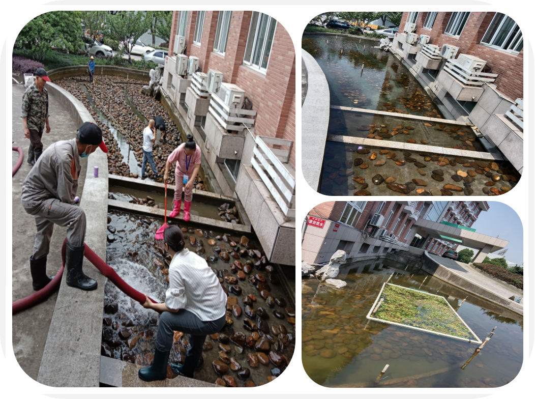 面目一新，，，，园区景观池迎来“大洗之日”