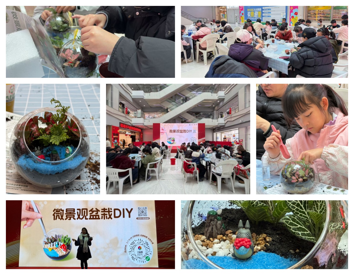 巧手造微景，，，指尖绽春意——水晶城微景观盆栽 DIY 运动圆满举行
